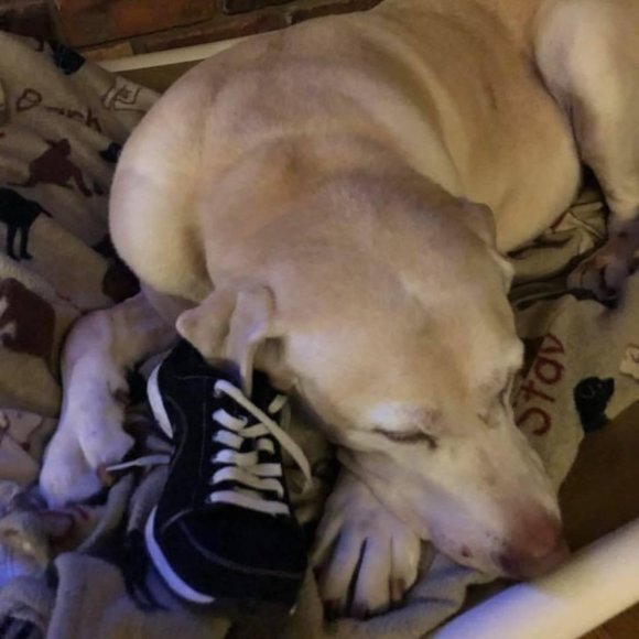 Meet your Posher, Den - Picture 2 of 3